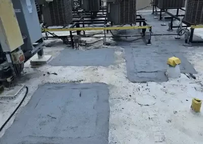 Professional Roofing (2)