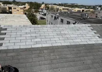 Professional Roofing (4)